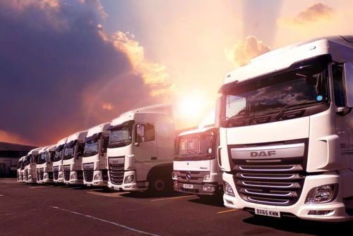 網(wǎng)絡(luò)貨運(yùn)平臺(tái)如何高效整合車貨資源